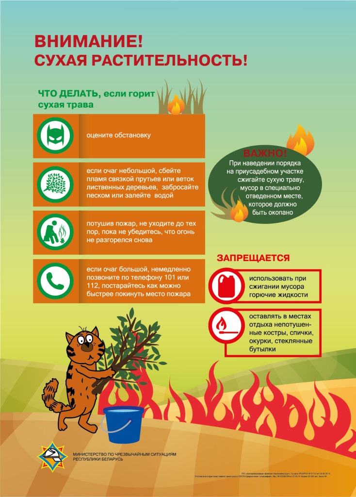 МЧС предупреждает об опасности палов сухой растительности!